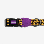 Collar “Honey” Zee.Dog para perro