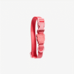 Collar “Neopro Bubblegum” Zee.Cat para gato