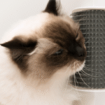 Cepillo de Pared Autoservicio "Self Groomer" con Catnip para Gatos